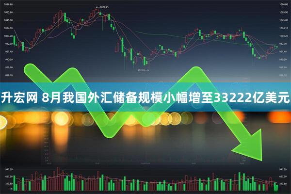 升宏网 8月我国外汇储备规模小幅增至33222亿美元