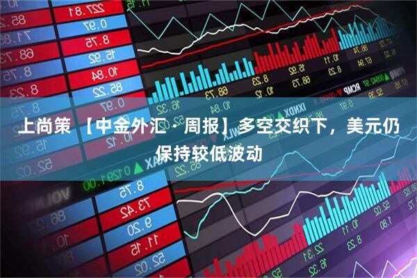 上尚策 【中金外汇 · 周报】多空交织下，美元仍保持较低波动