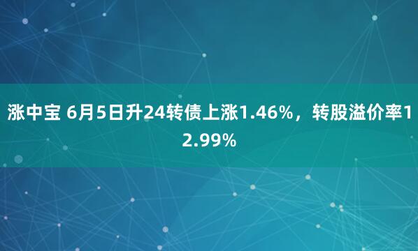 涨中宝 6月5日升24转债上涨1.46%，转股溢价率12.99%