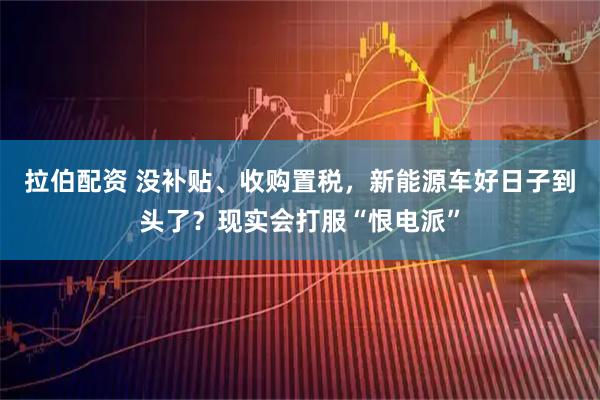 拉伯配资 没补贴、收购置税，新能源车好日子到头了？现实会打服“恨电派”