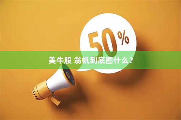 美牛股 翁帆到底图什么？