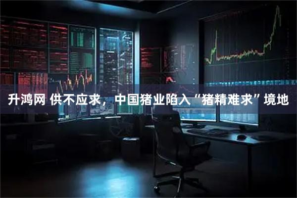 升鸿网 供不应求，中国猪业陷入“猪精难求”境地