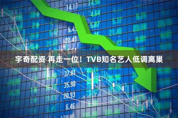 宇奇配资 再走一位！TVB知名艺人低调离巢