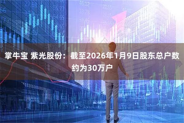 掌牛宝 紫光股份：截至2026年1月9日股东总户数约为30万户