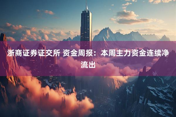 浙商证券证交所 资金周报：本周主力资金连续净流出