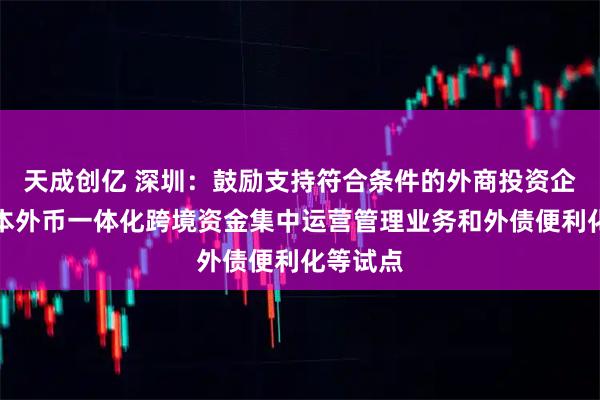 天成创亿 深圳：鼓励支持符合条件的外商投资企业参与本外币一体化跨境资金集中运营管理业务和外债便利化等试点