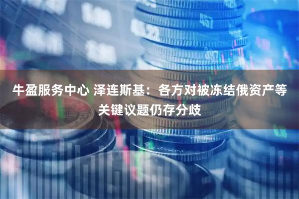 牛盈服务中心 泽连斯基：各方对被冻结俄资产等关键议题仍存分歧