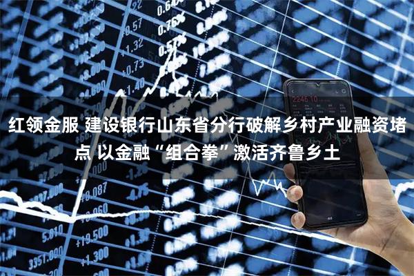 红领金服 建设银行山东省分行破解乡村产业融资堵点 以金融“组合拳”激活齐鲁乡土