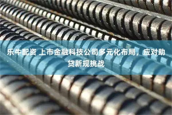 乐牛配资 上市金融科技公司多元化布局，应对助贷新规挑战