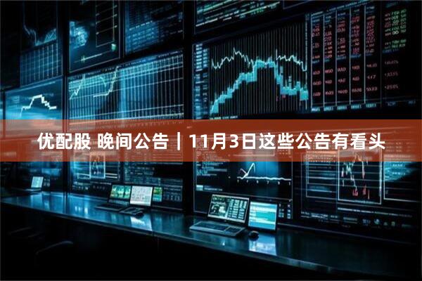 优配股 晚间公告｜11月3日这些公告有看头